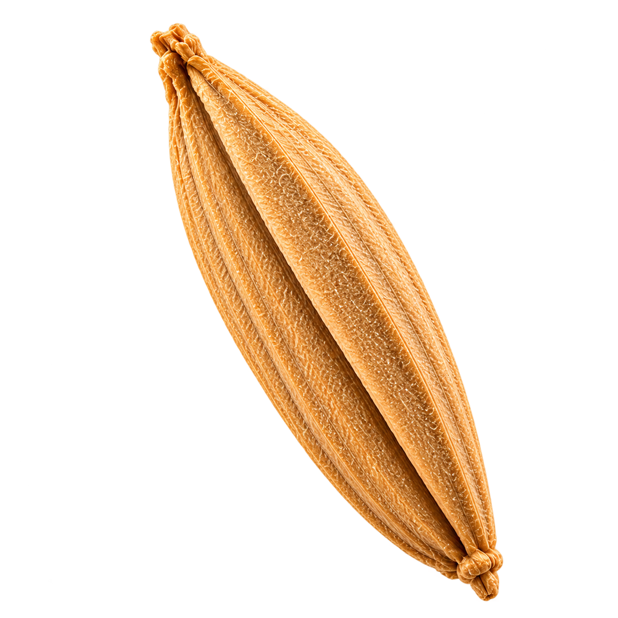 A golden Matta rice grain in its protective husk