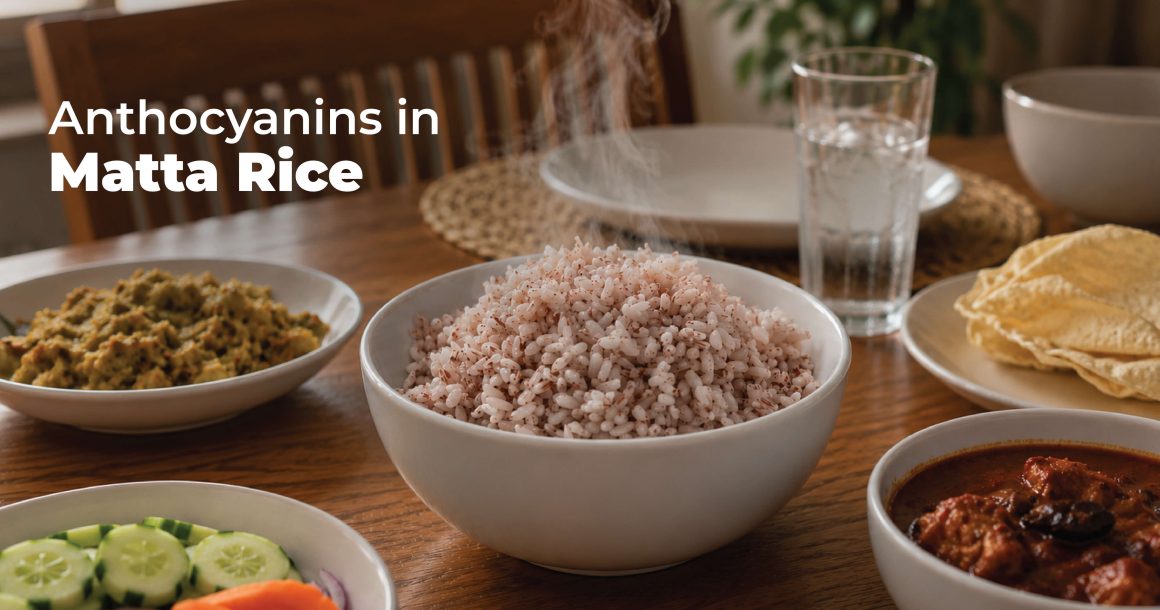 Heart-Healthy Rice in India Why Anthocyanins in Matta Rice