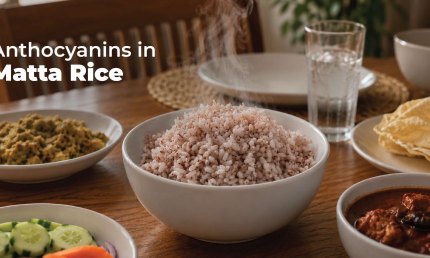Heart-Healthy Rice in India Why Anthocyanins in Matta Rice